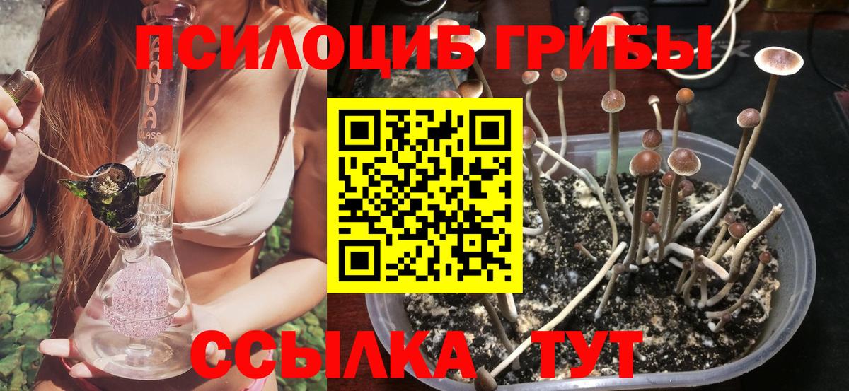 Псилоцибиновые грибы ЛСД  Вход с VPN  Топки 